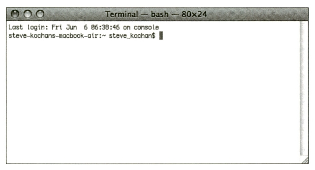 그림 2.10 터미널 창